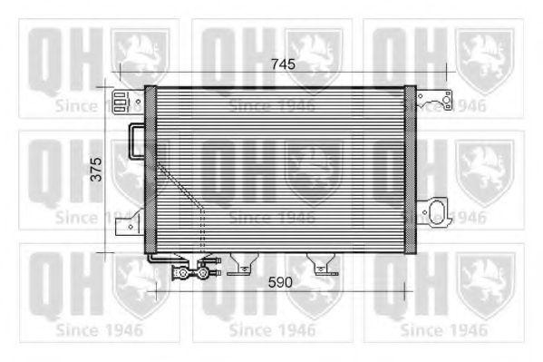 QUINTON HAZELL QCN444