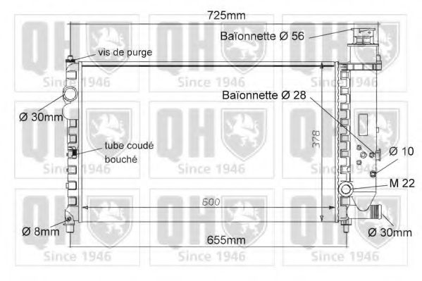 QUINTON HAZELL QER1028