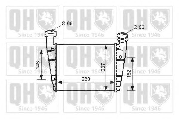 QUINTON HAZELL QIC102