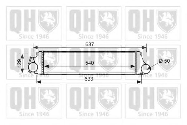 QUINTON HAZELL QIC119