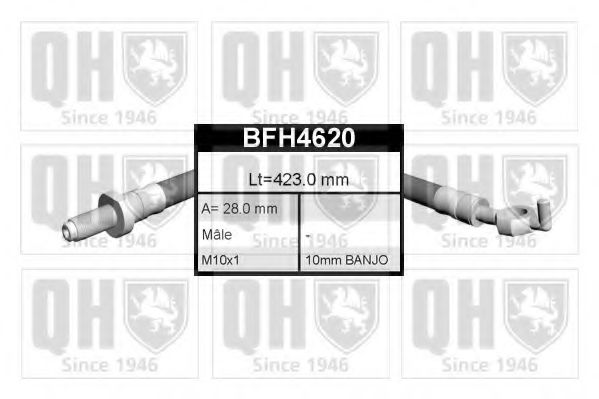 QUINTON HAZELL BFH4620