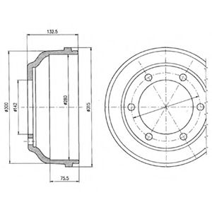 DELPHI BF317