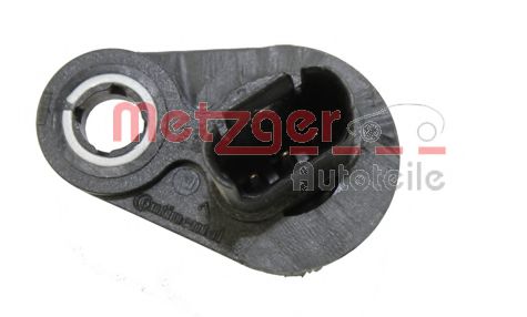 METZGER 0903162